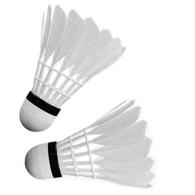 GW 555 Badminton Shuttlecock_img_5